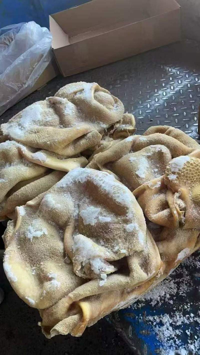 水退牛净肚，带金肚，量大从优，工厂直发，欢迎下单