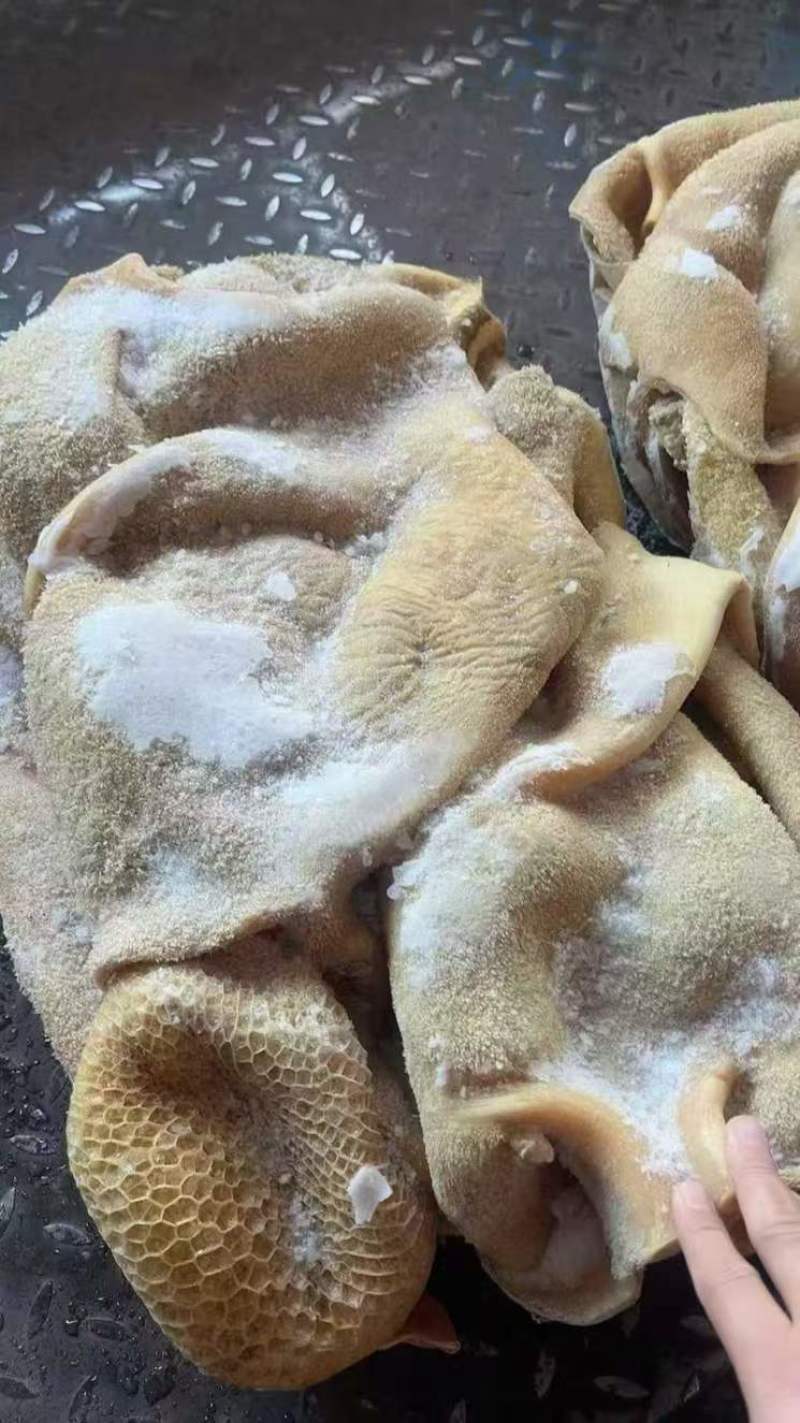 水退牛净肚，带金肚，量大从优，工厂直发，欢迎下单