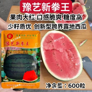 豫艺新拳王西瓜种子大果高糖较抗重茬黑美人甜脆大红瓤西瓜种