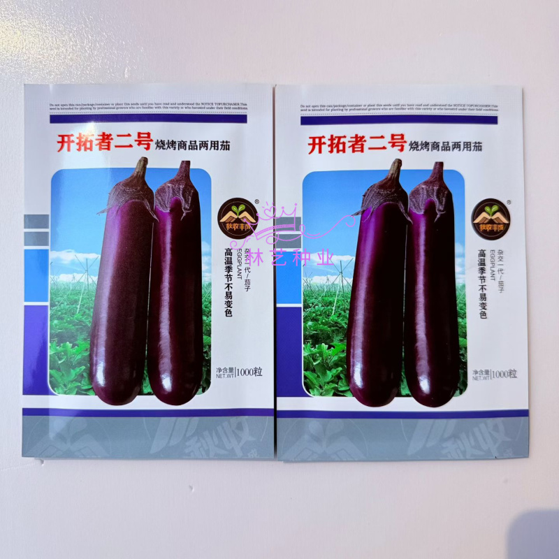 开拓者二号茄子种子中熟烧烤商品两用茄种籽高温不易变色紫红