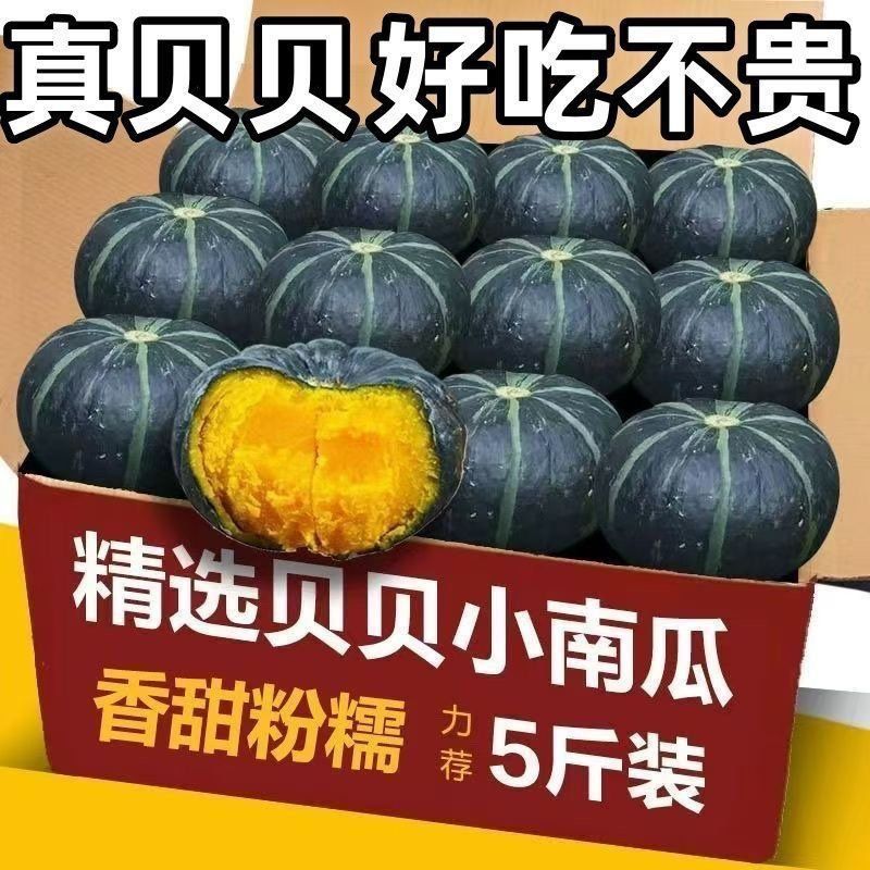 《电商一件代发》贝贝南瓜供应多多，抖店，视频号，淘宝，
