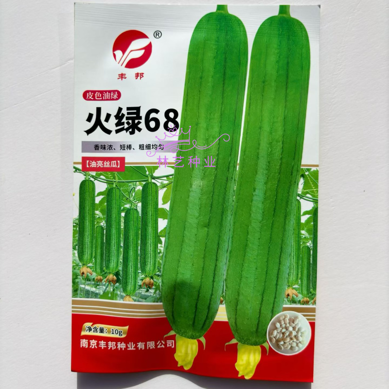 火绿68杂交丝瓜种子早熟性强口感好抗病强目前瓜农*喜爱