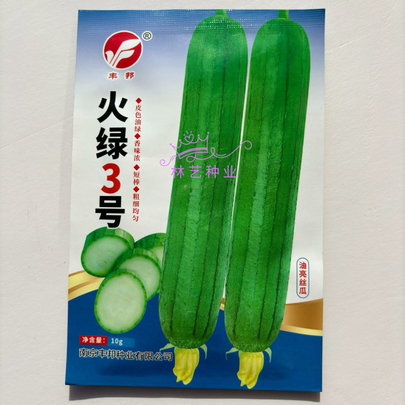火绿3号丝瓜种子早熟油绿香丝瓜种籽短棒圆柱型春秋播种