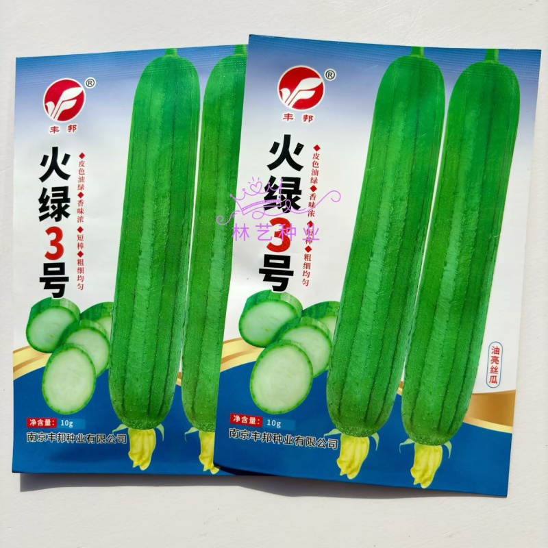 火绿3号丝瓜种子早熟油绿香丝瓜种籽短棒圆柱型春秋播种