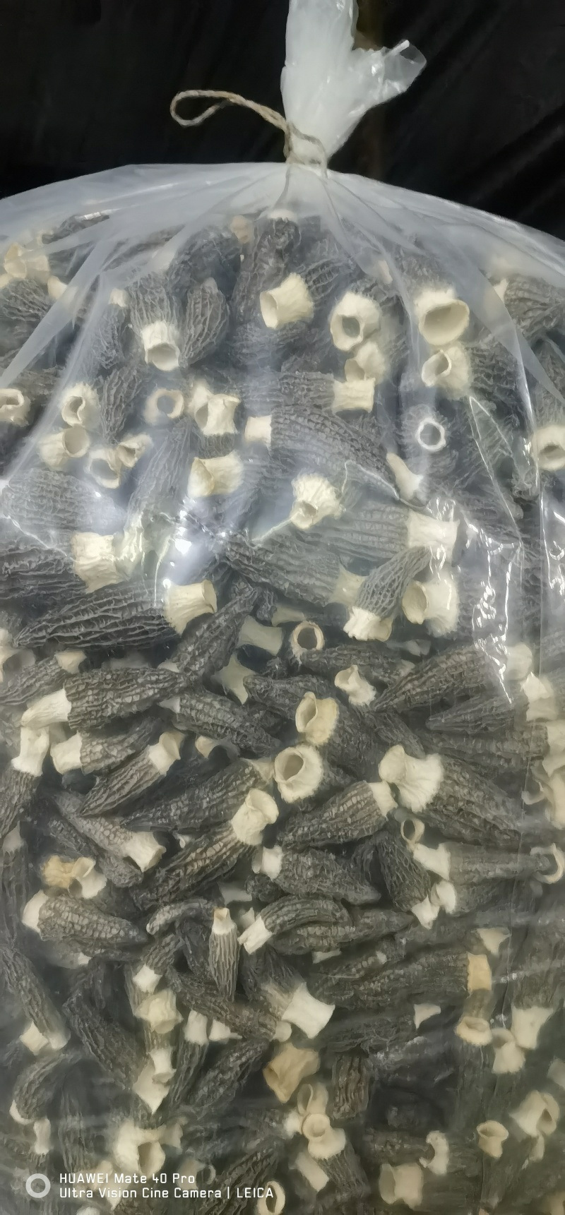 羊肚菌通货（2026头茬新货）