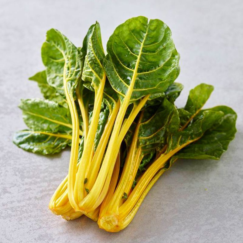 彩虹甜菜种子牛皮菜特菜观赏彩色甜菜种子四季耐寒蔬菜