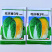 旺庆春3号春夏大白菜种子黄心大白菜种籽抗抽薹高抗病早熟春