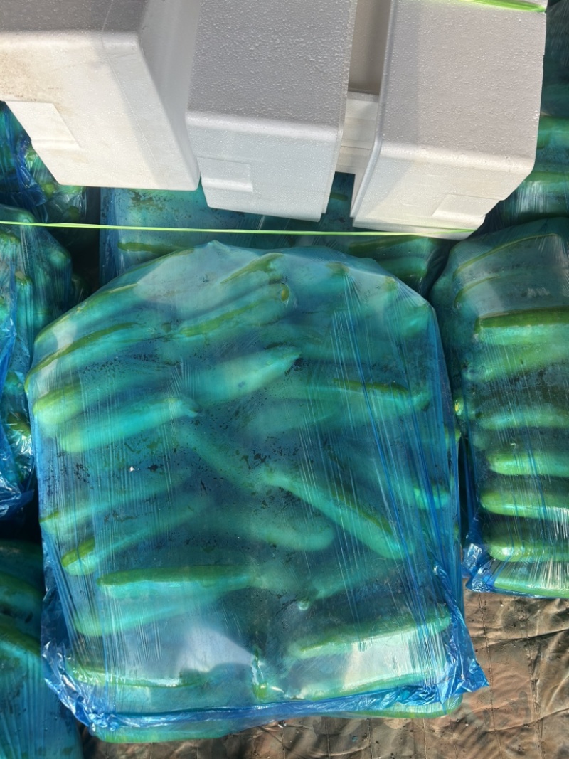 精品西荫大量有货，基地直发，电商供货。