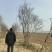 紫薇高杆紫薇丛生紫薇基地