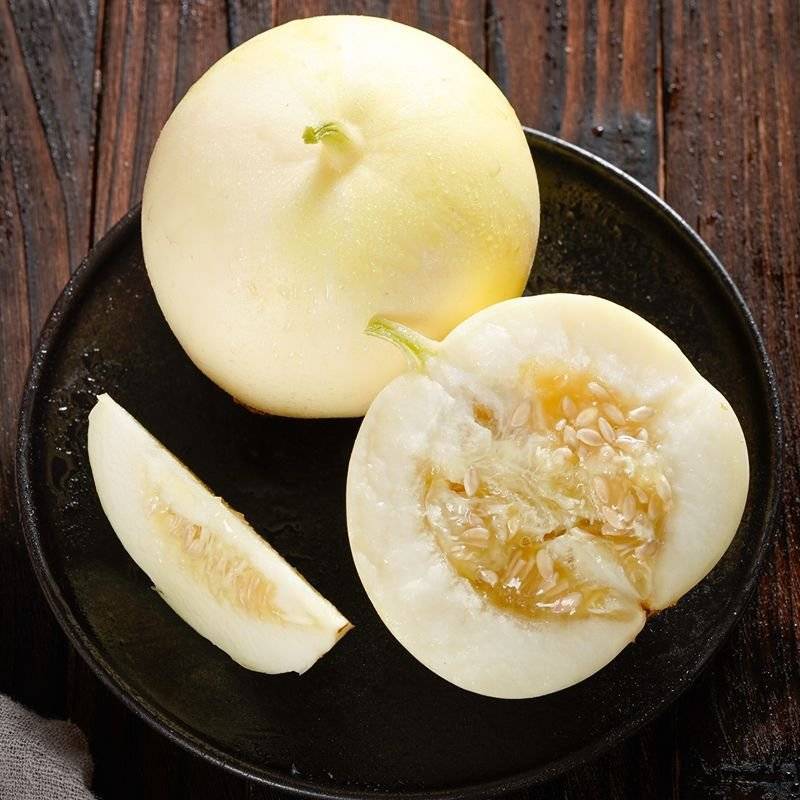 山东头茬小蜜蜂甜瓜早甜脆小蜜罐新鲜直供香甜美网红甜瓜