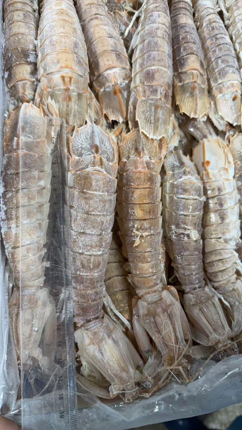 半肉皮皮虾