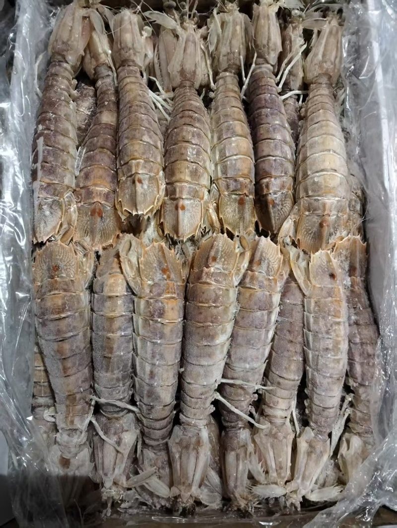 半肉皮皮虾
