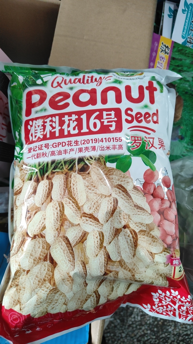 原装不带壳五斤装国审罗汉果花生种子产量高质量高抗性好