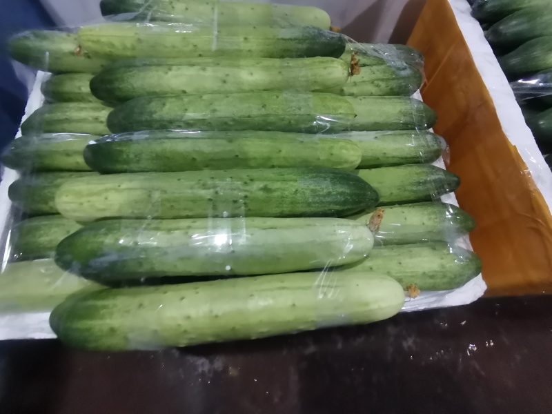 精品黄瓜厂地直发密刺黄瓜本地黄瓜燕白黄瓜