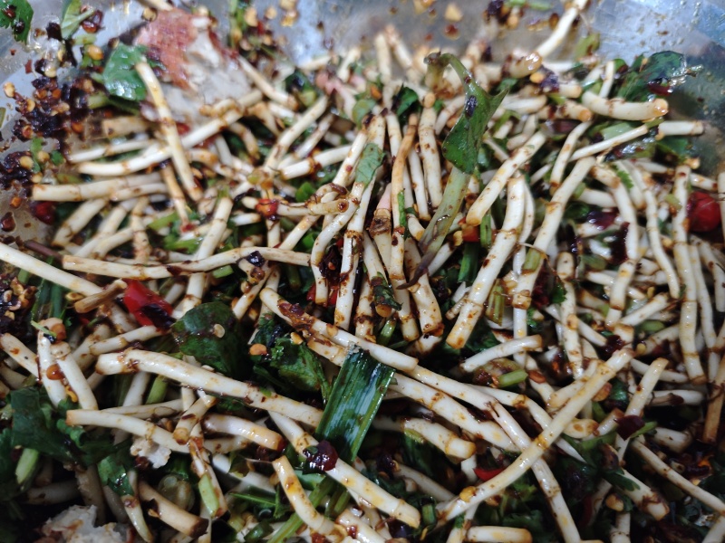 鱼腥草