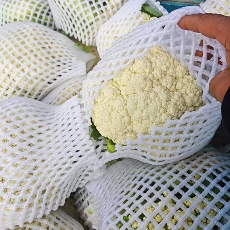 松花菜有机会青梗白面松花菜大米粒小米粒朵形漂亮无黑点