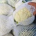 松花菜有机会青梗白面松花菜大米粒小米粒朵形漂亮无黑点