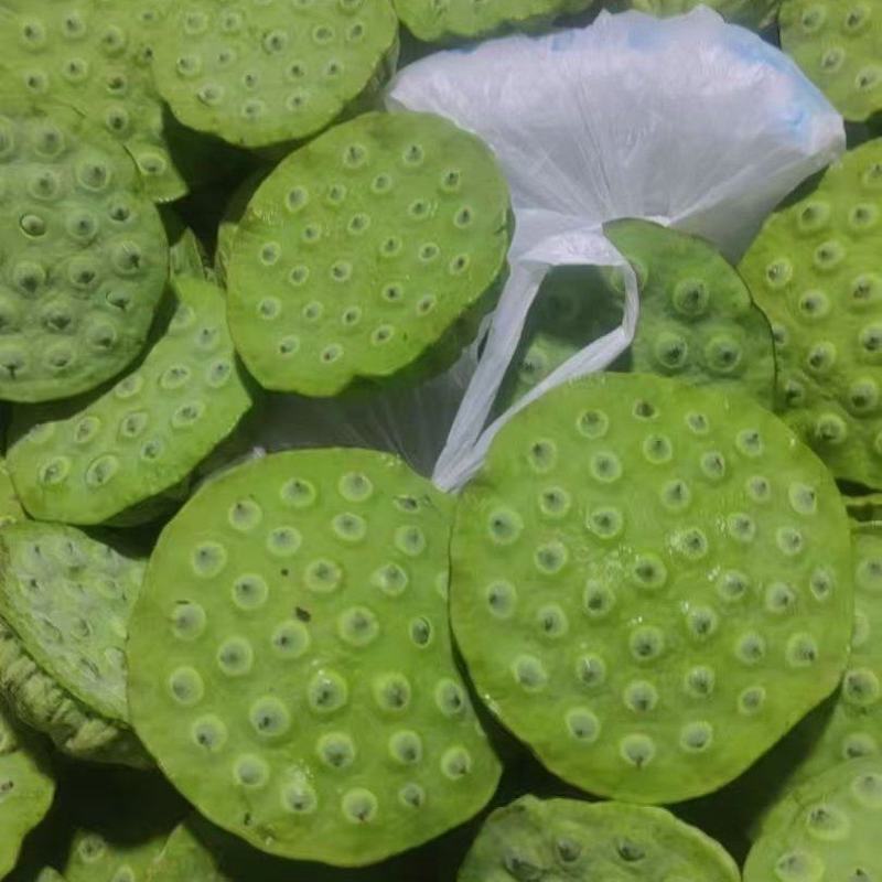 新鲜水果莲蓬大量发货全国各地都可以发货还有荷花