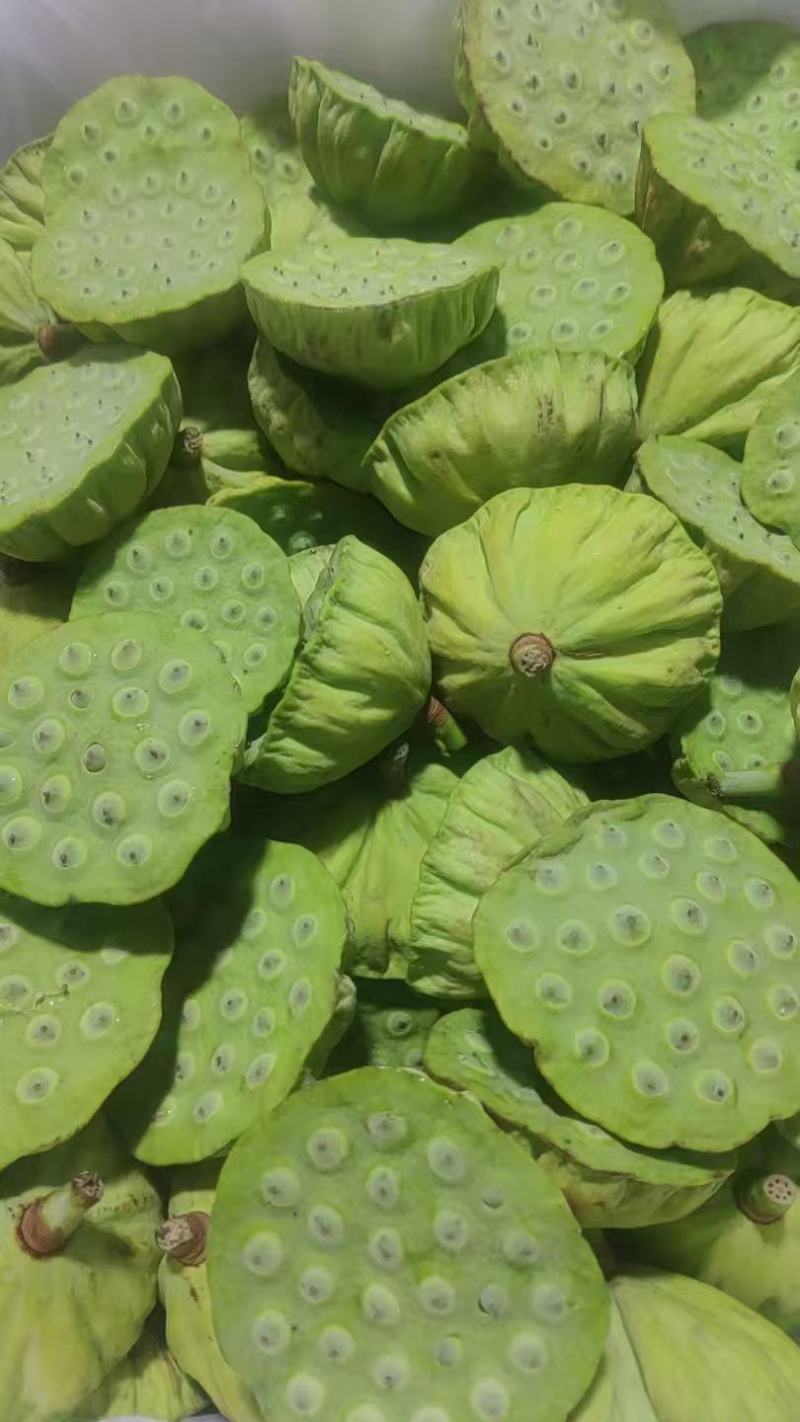 新鲜水果莲蓬大量发货全国各地都可以发货还有荷花