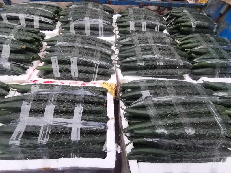 精品黄瓜厂地直发密刺黄瓜本地黄瓜燕白黄瓜