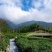 安徽省安庆岳西翠兰（高山茶）