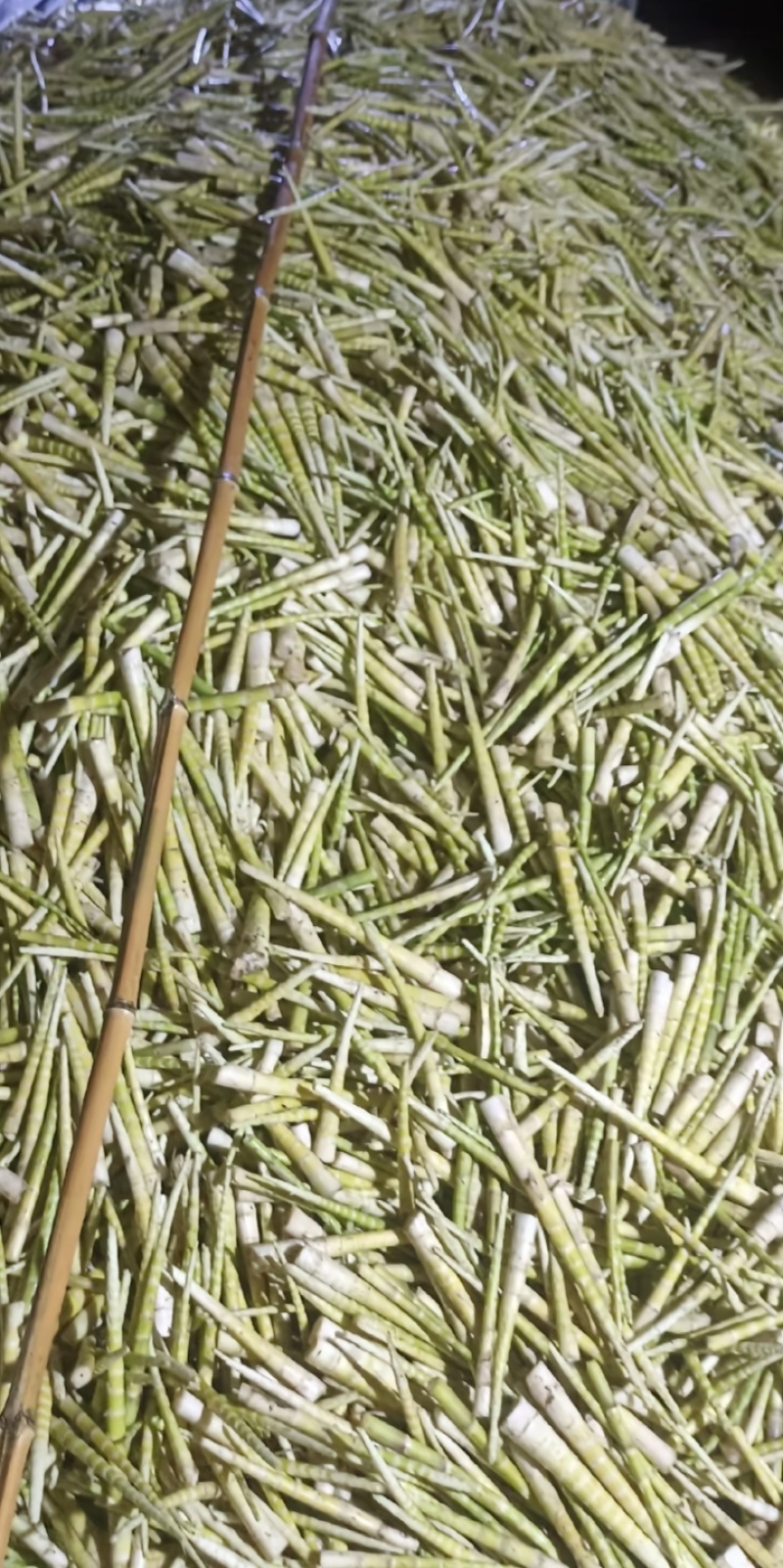 油竹笋带壳不带壳都可以