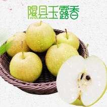 山西隰县玉露香梨脆甜无渣产地直供