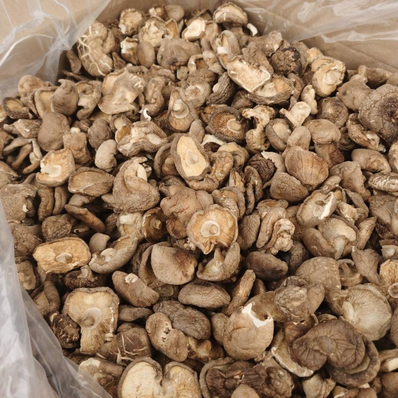 香菇大量批发产地直发电商供货各种香菇齐全