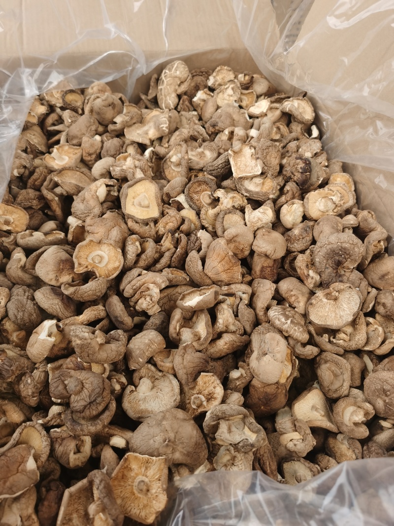 香菇大量批发产地直发电商供货各种香菇齐全
