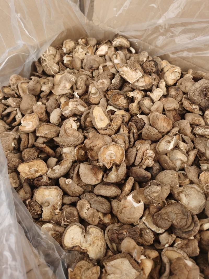 香菇大量批发产地直发电商供货各种香菇齐全