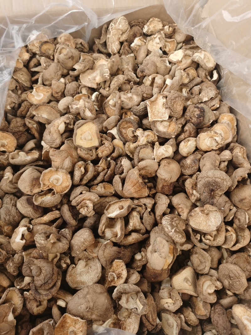 香菇大量批发产地直发电商供货各种香菇齐全