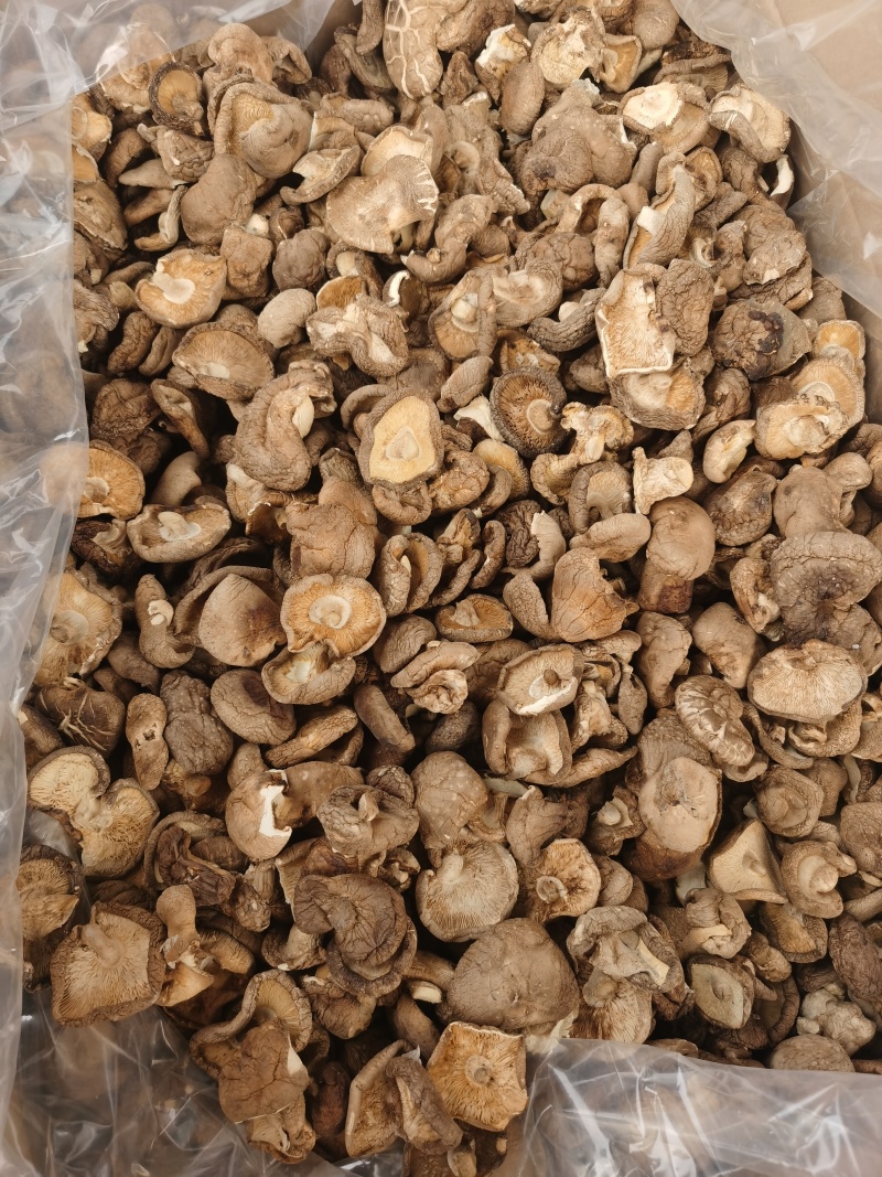 香菇大量批发产地直发电商供货各种香菇齐全