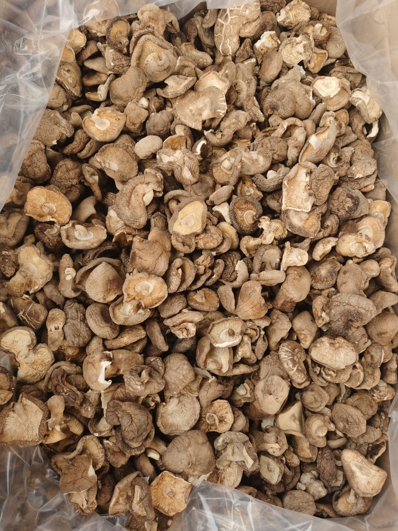 香菇大量批发产地直发电商供货各种香菇齐全