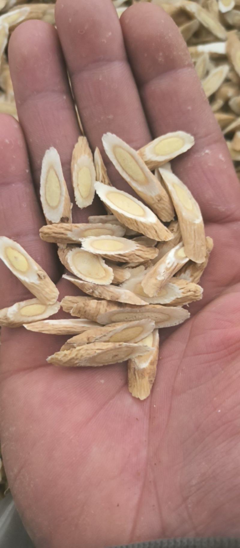 黄芪指甲片春雨药材批发各种规格黄芪质量保证量大从优