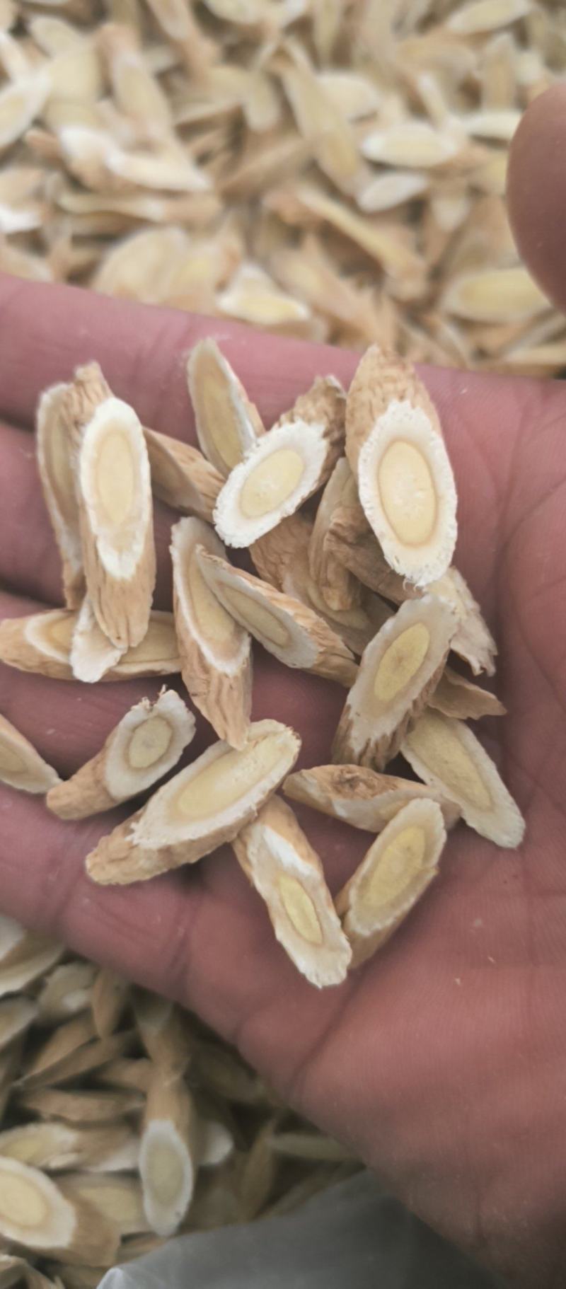 黄芪指甲片春雨药材批发各种规格黄芪质量保证量大从优