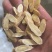 黄芪指甲片春雨药材批发各种规格黄芪质量保证量大从优