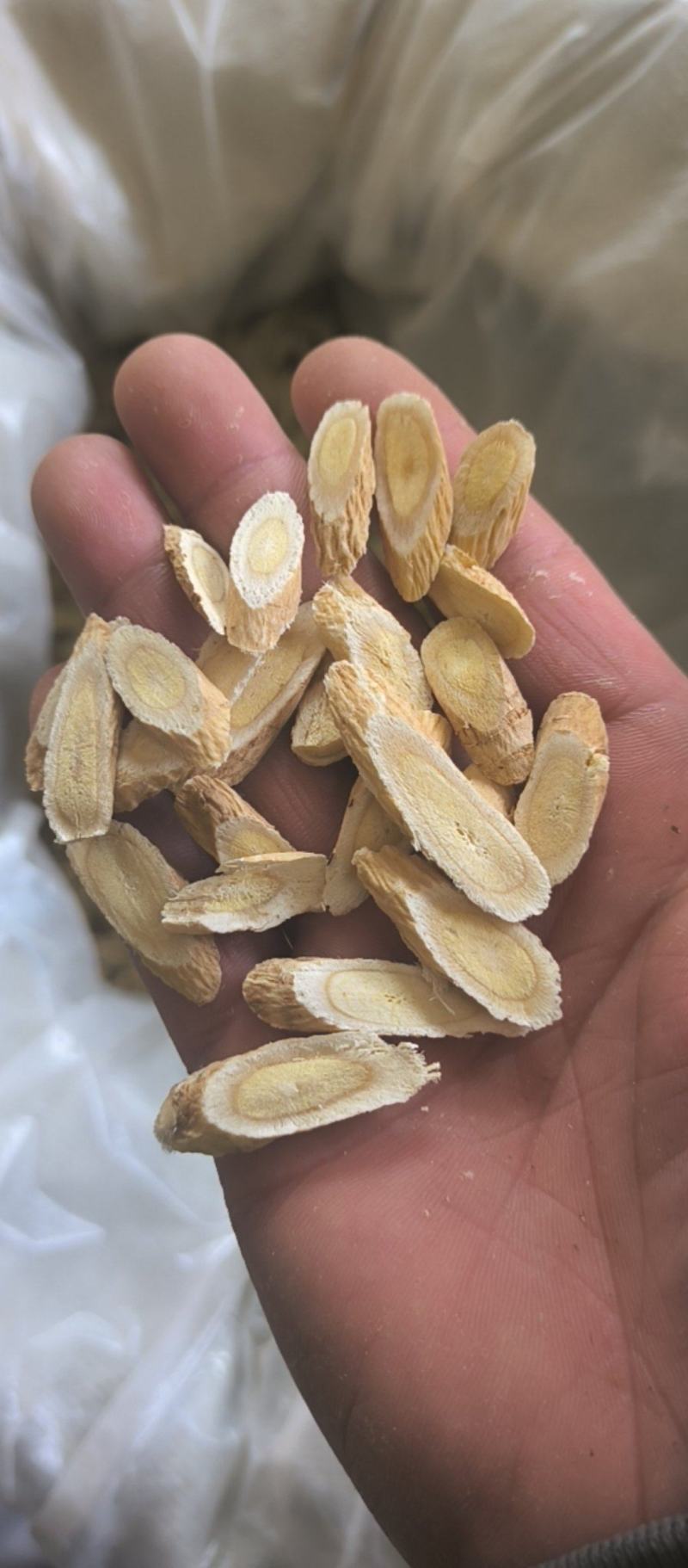 黄芪指甲片春雨药材批发各种规格黄芪质量保证量大从优