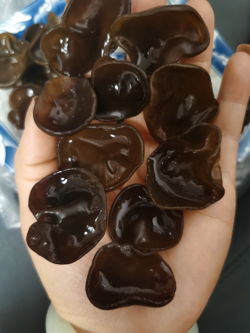 碗耳批发产地直发电商供货