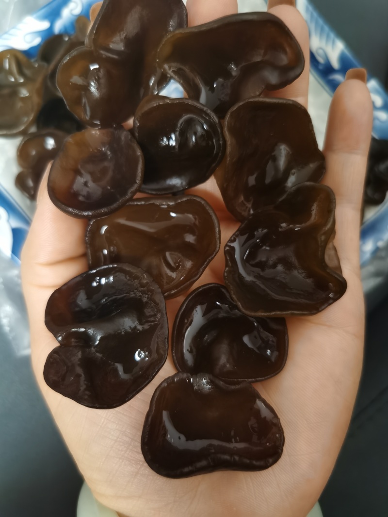 碗耳批发产地直发电商供货