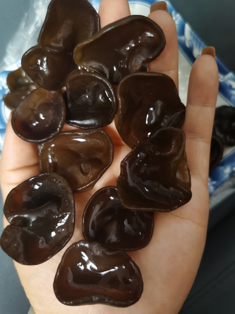 碗耳批发产地直发电商供货