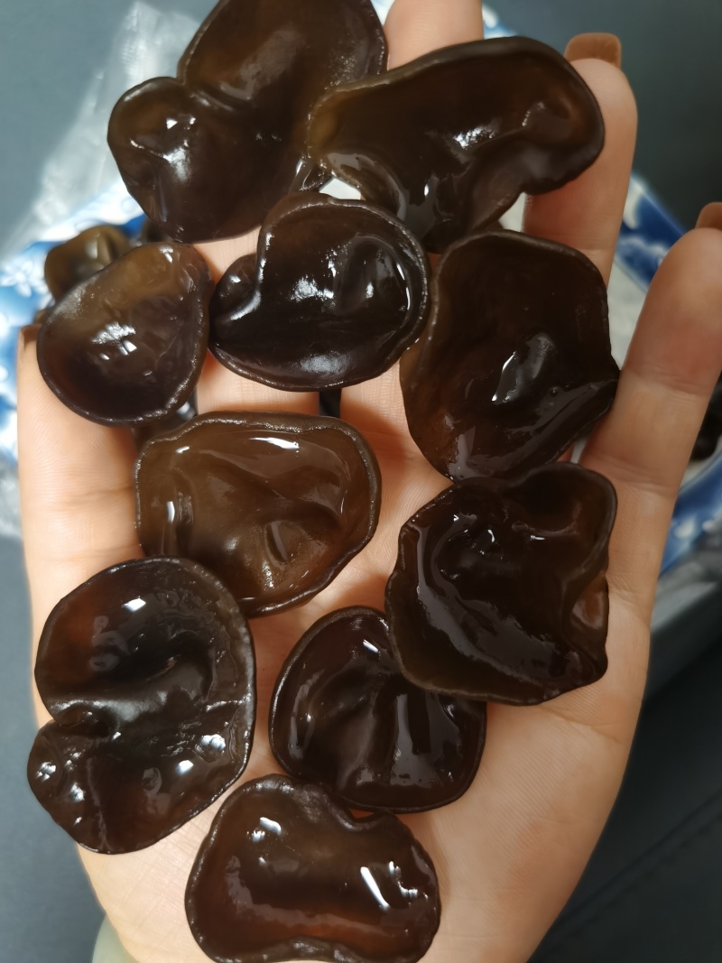 碗耳批发产地直发电商供货