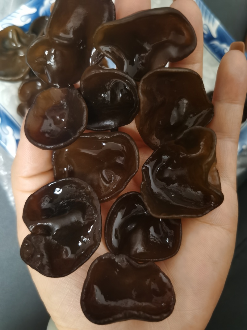 碗耳批发产地直发电商供货