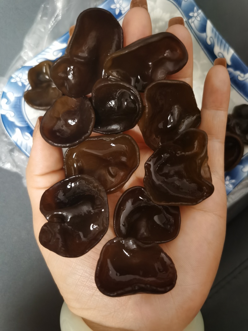 碗耳批发产地直发电商供货