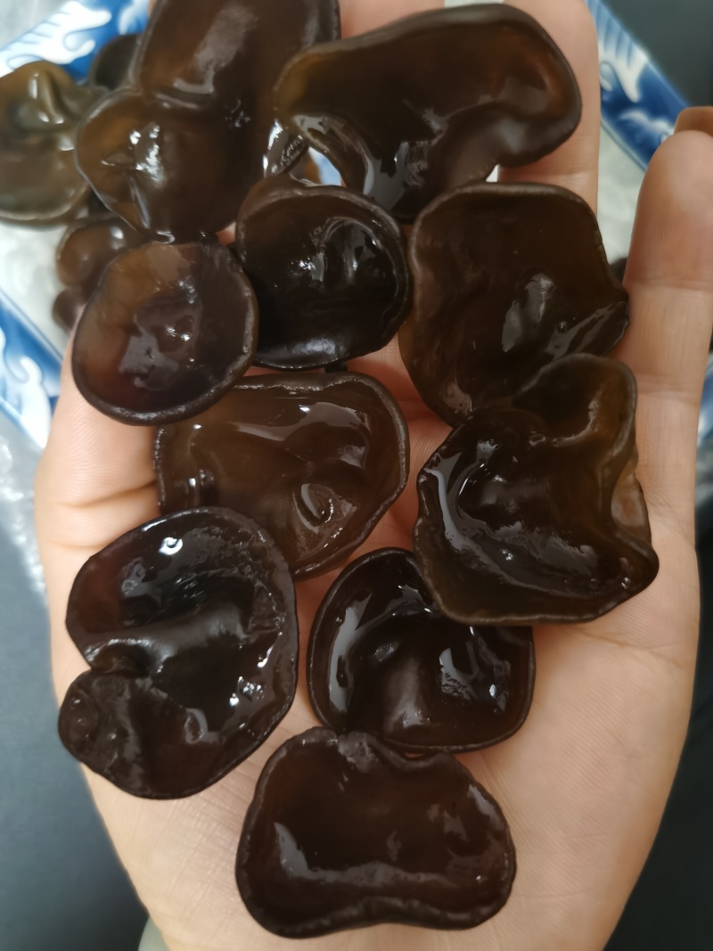 碗耳批发产地直发电商供货