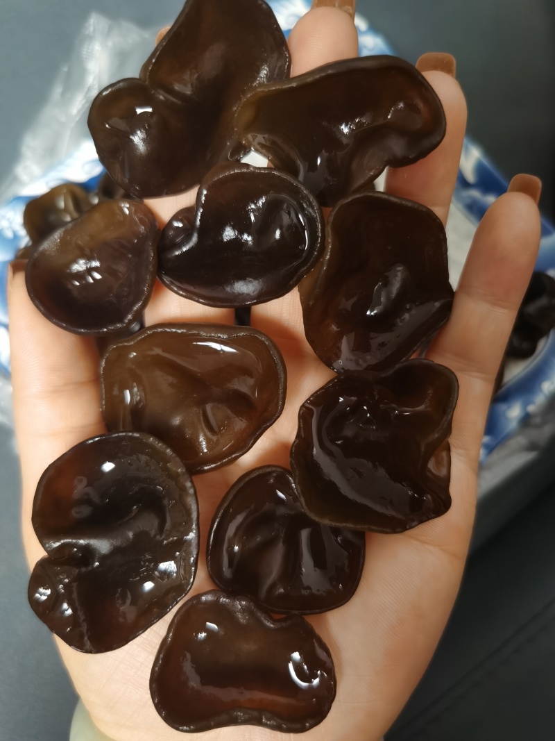 碗耳批发产地直发电商供货