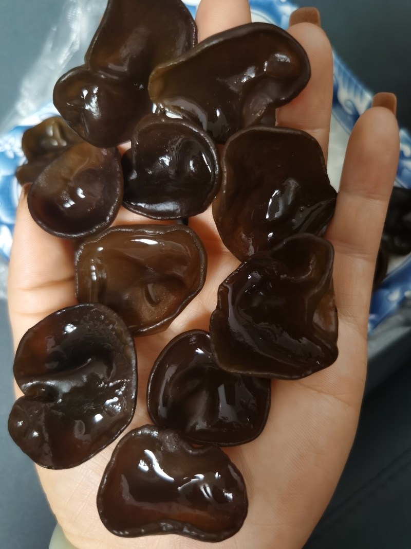 碗耳批发产地直发电商供货