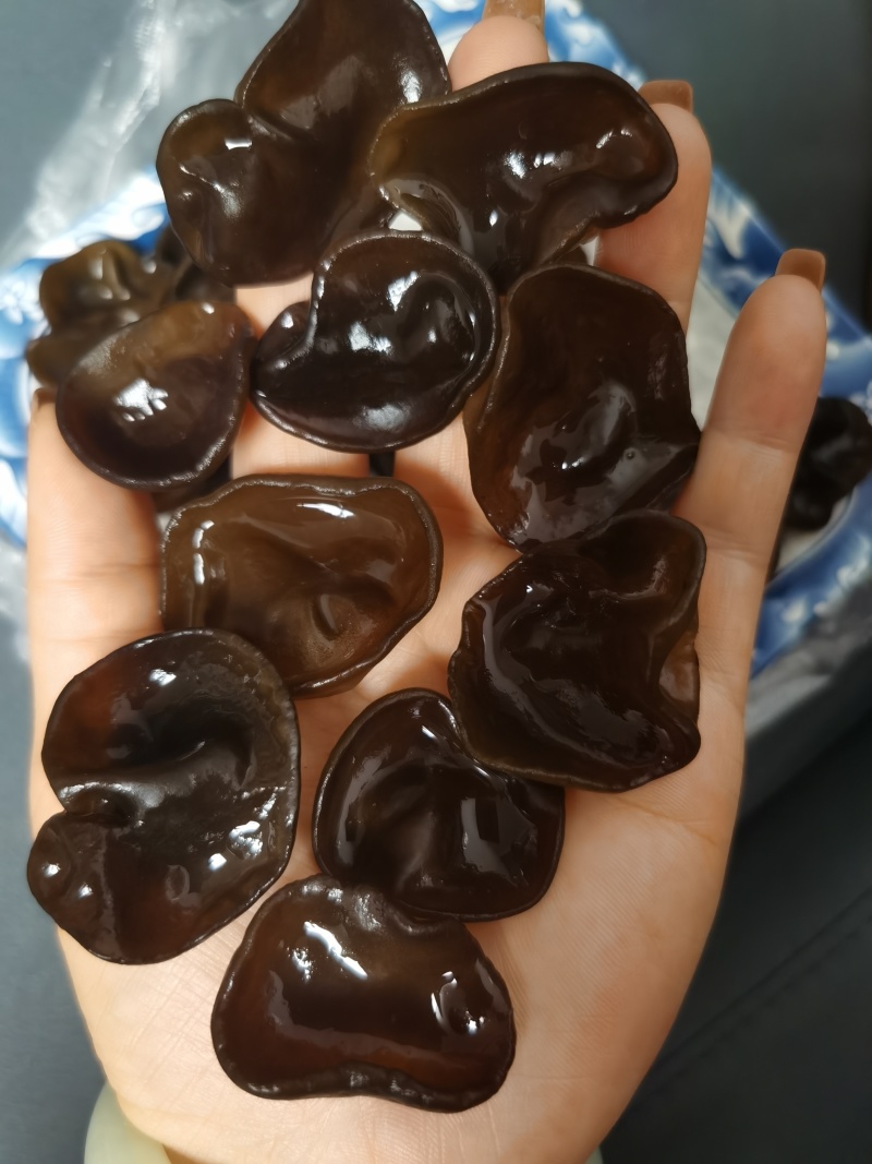 碗耳批发产地直发电商供货