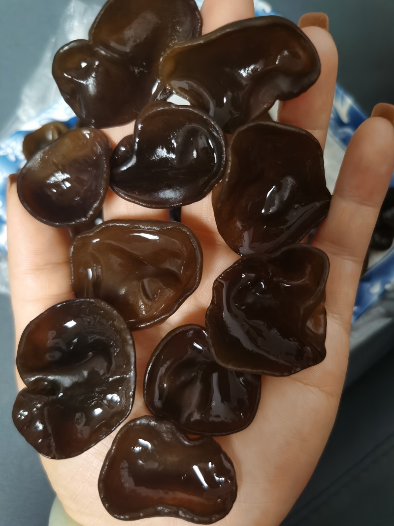 碗耳批发产地直发电商供货