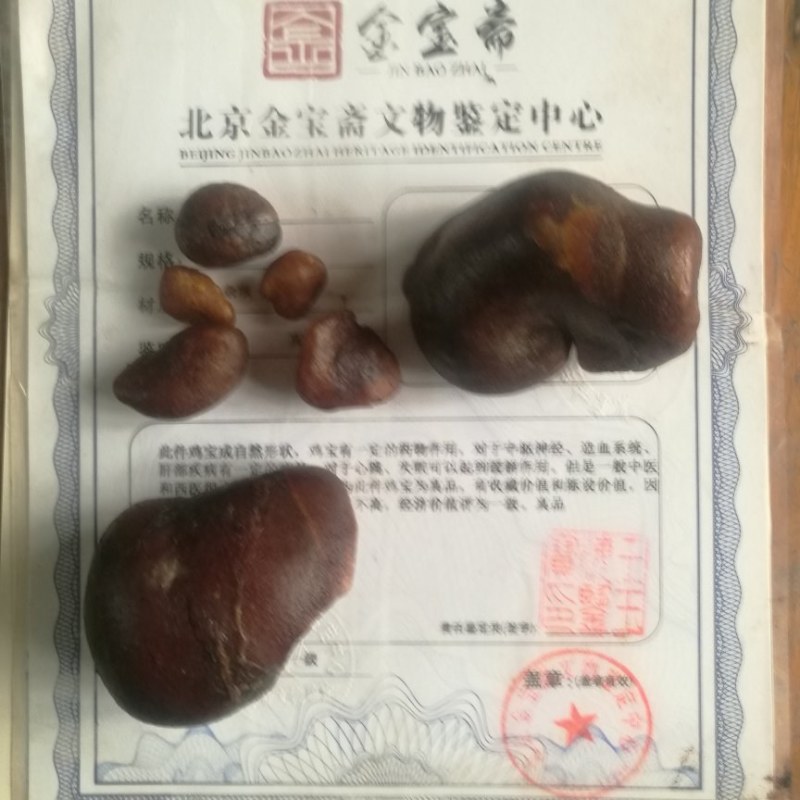 十年以上鸡宝精品