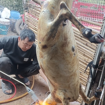 羊肉
